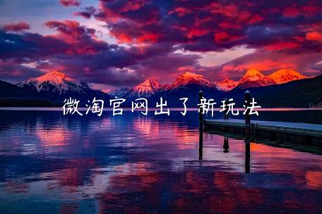 微淘官網(wǎng)出了新玩法